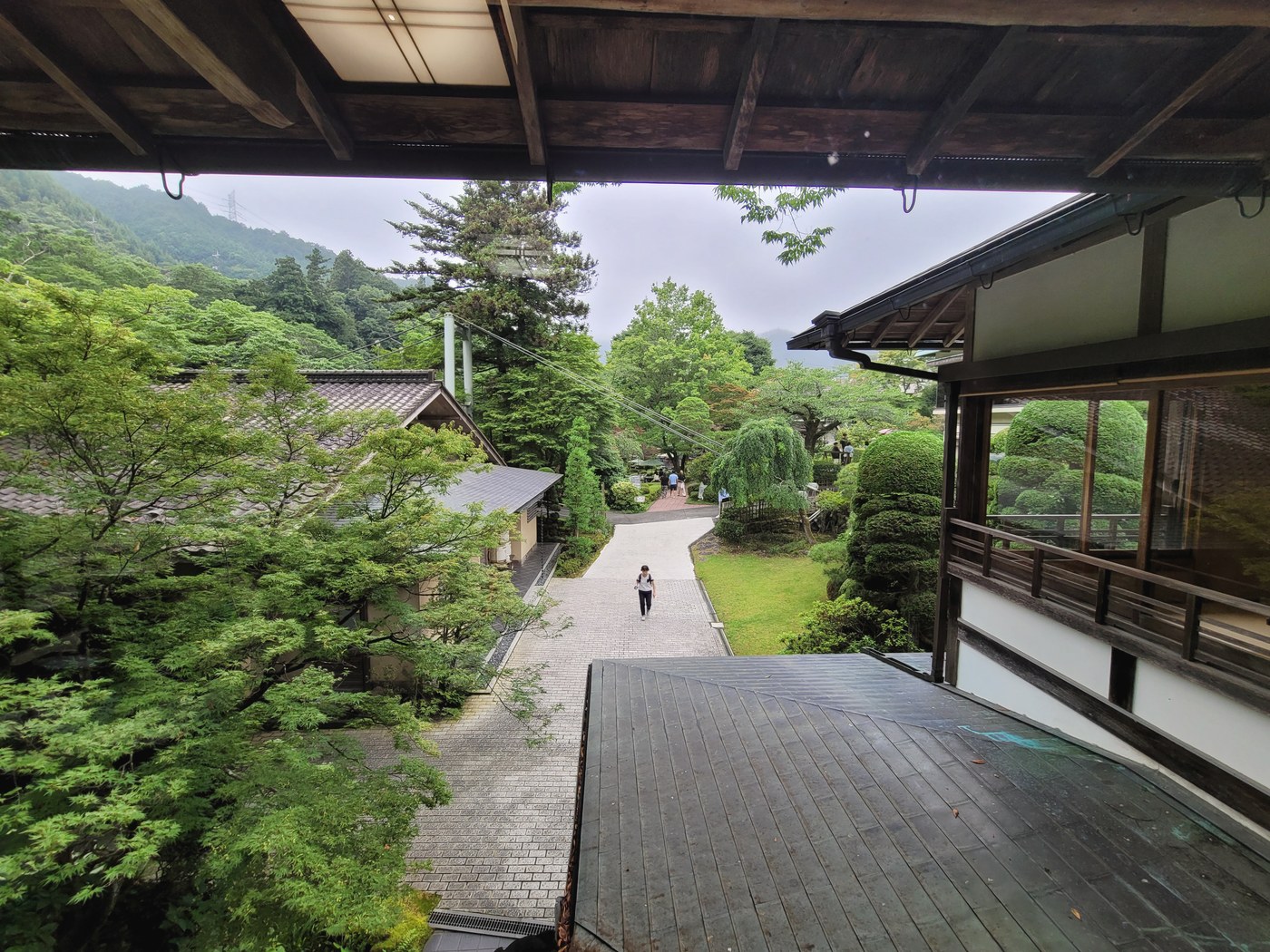 旅館の縁側から望む静かな庭園